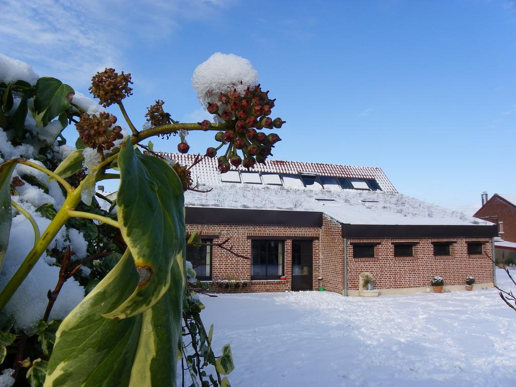 Вілла Fleur De Ciel Loos-en-Gohelle Екстер'єр фото