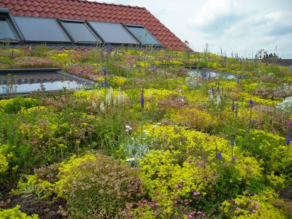 Вілла Fleur De Ciel Loos-en-Gohelle Екстер'єр фото